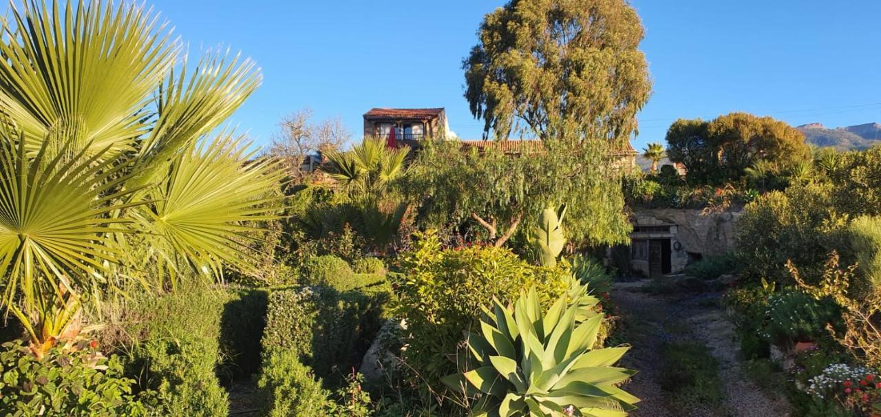 Tenerife Nature Retreat Ifonche Ngoại thất bức ảnh