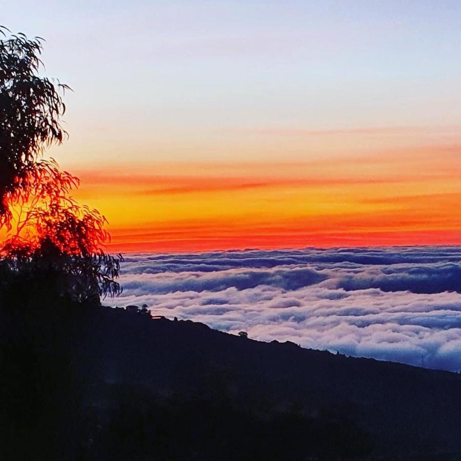 Tenerife Nature Retreat Ifonche Ngoại thất bức ảnh