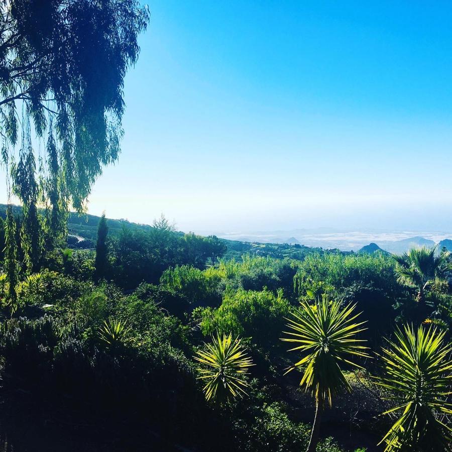 Tenerife Nature Retreat Ifonche Ngoại thất bức ảnh