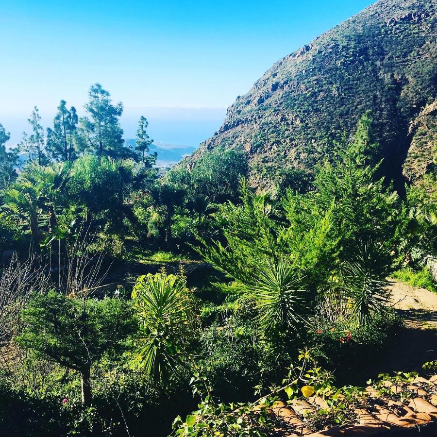 Tenerife Nature Retreat Ifonche Ngoại thất bức ảnh