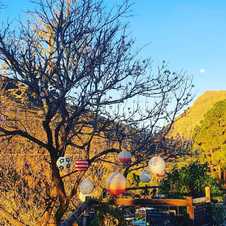 Tenerife Nature Retreat Ifonche Ngoại thất bức ảnh